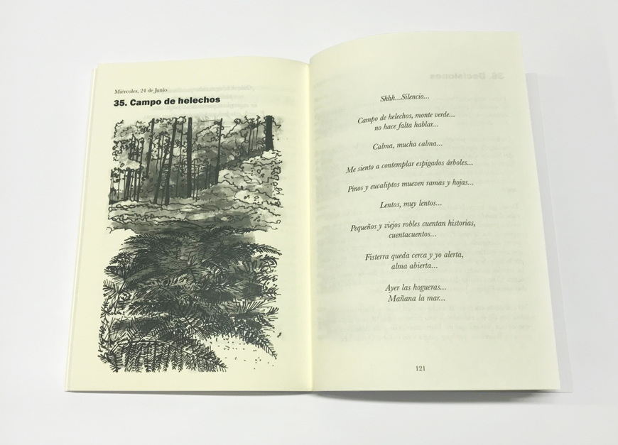Imprimir-libro-En-el-camino-caminante-Blauverd-Impressors-3 Imprimir el libro En el Camino Caminante de R. Antón. Blauverd Impressors. Imprimir catálogo. Imprimir libro. Imprimir offset con la máxima calidad.