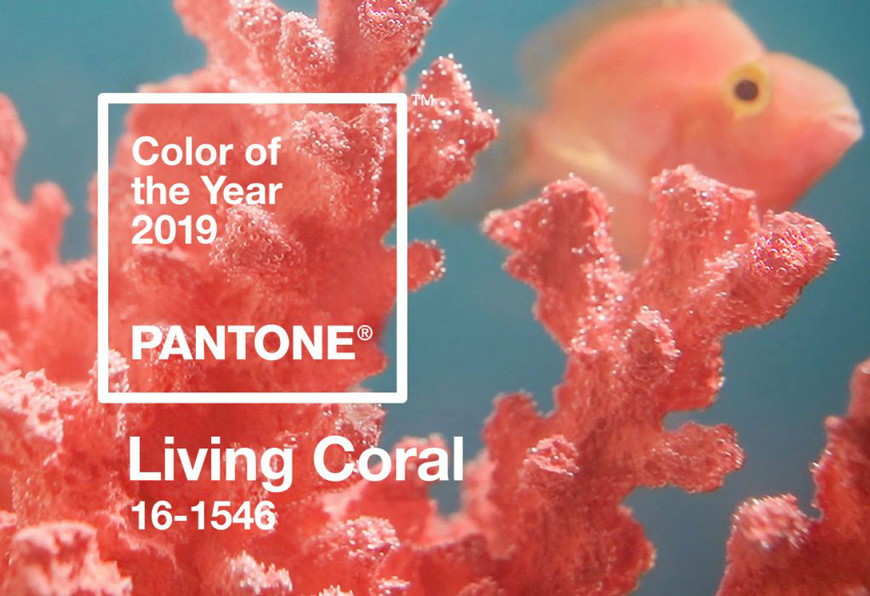 Color-Pantone-2019-Living-Coral-16-1546-Blauverd-Impressors-Port Color Pantone 2019 Living-Coral 16 1546 Blauverd Impressors