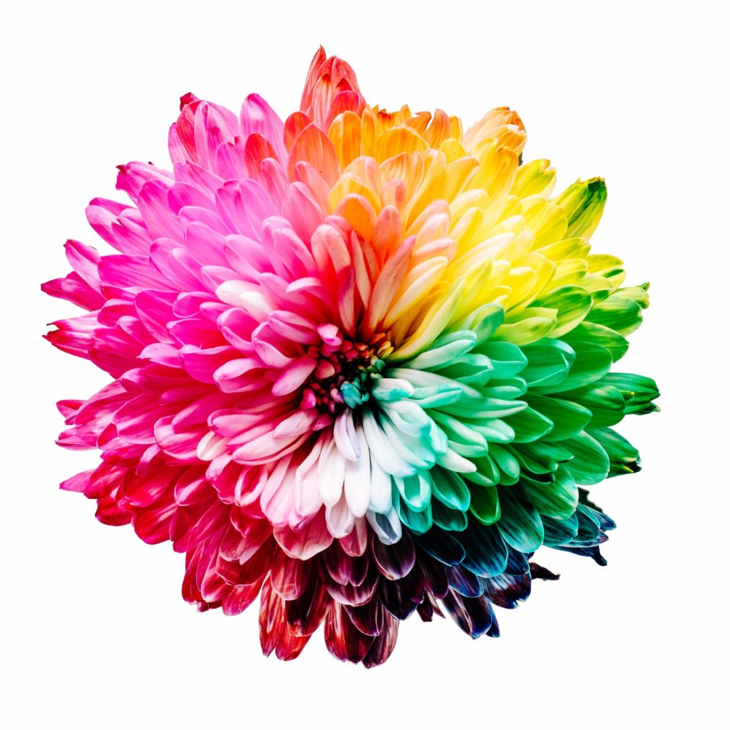 gestion de color - imprenta online - blauverd